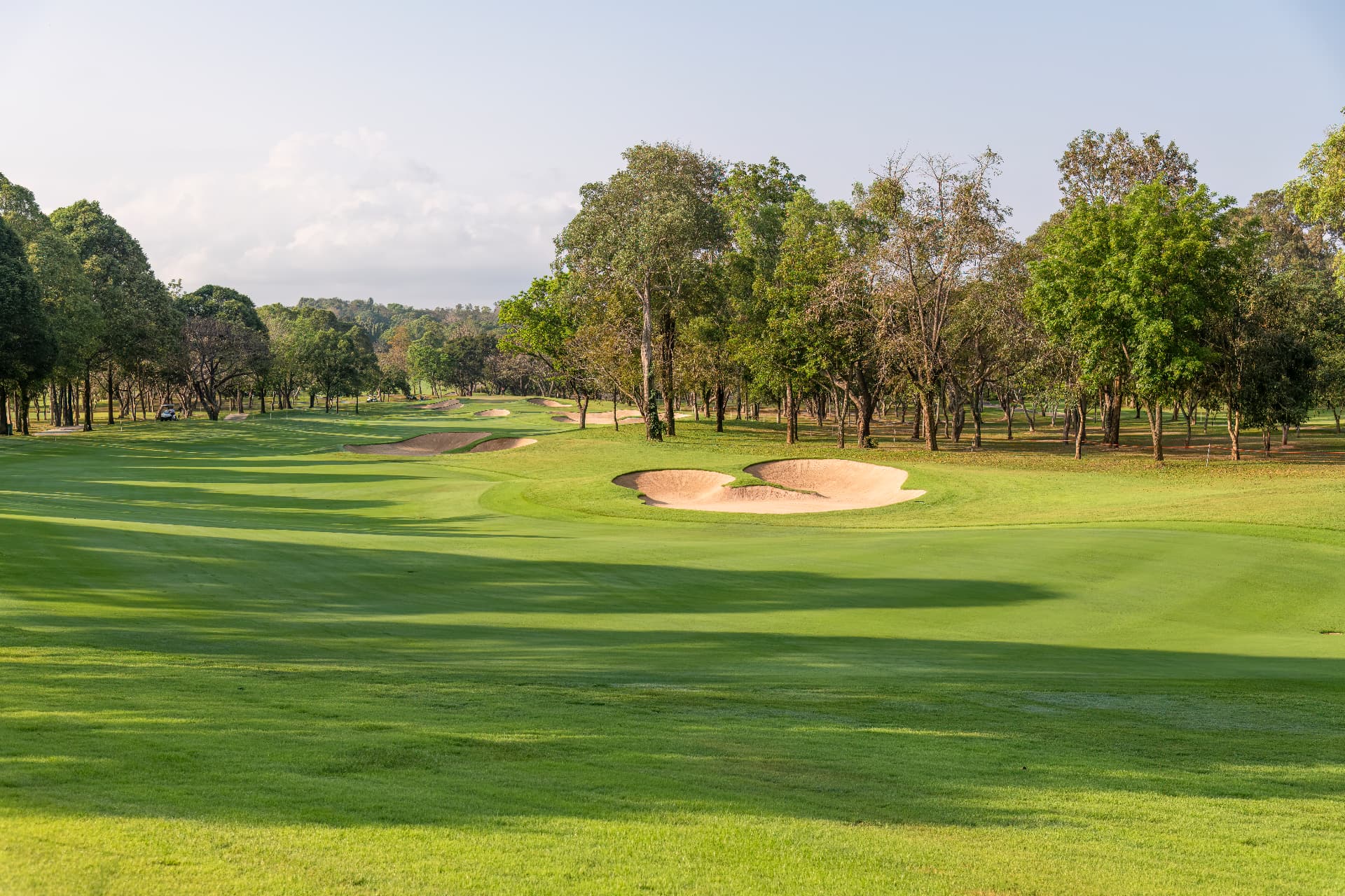 Wide view of the Verdara golf course fairway framed by mature trees